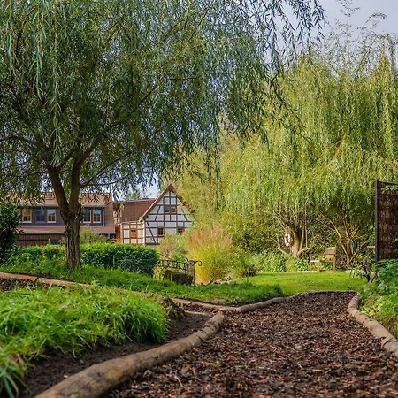 Bio Mit Saunabereich Im Naturidyll Wiesengrund Apartment Struppen
