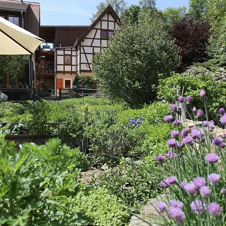 Bio Mit Saunabereich Im Bio Naturidyll Wiesengrund